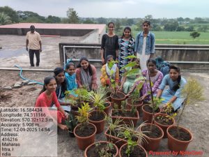 Tree-Plantation-Activity-2025